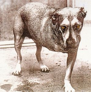 Meet your Posher, Scott